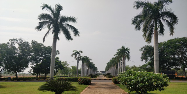 Green Campus